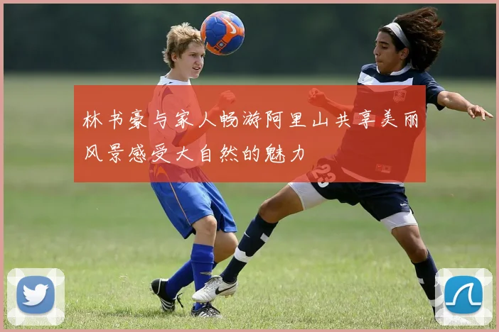 林书豪与家人畅游阿里山共享美丽风景感受大自然的魅力