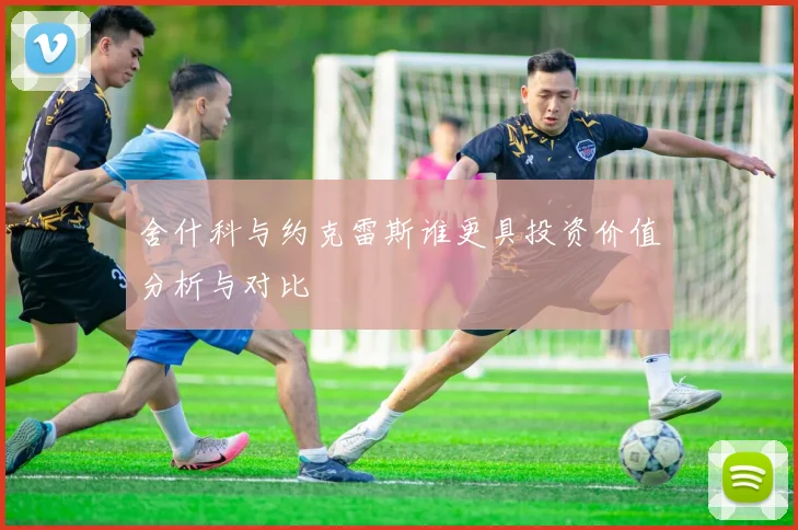 舍什科与约克雷斯谁更具投资价值分析与对比